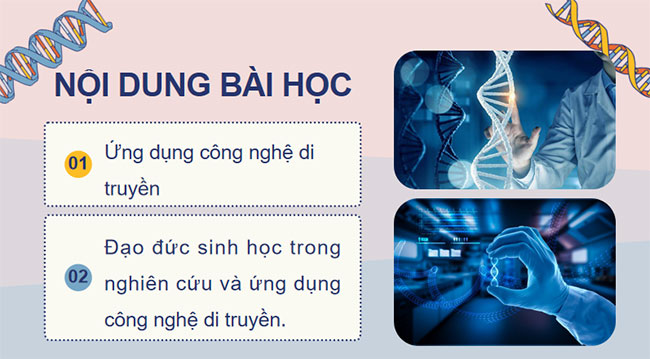 PowerPoint Sinh học 9 Bài 45