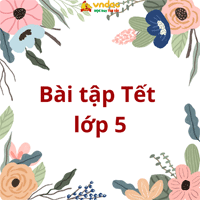 Bộ phiếu bài tập Tết môn Toán lớp 5 có đáp án