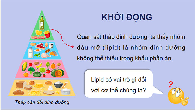 Giáo án Hóa học 9 Bài 26: Lipid và chất béo