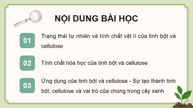 Giáo án Hóa học 9 Bài 28: Tinh bột và cellulose