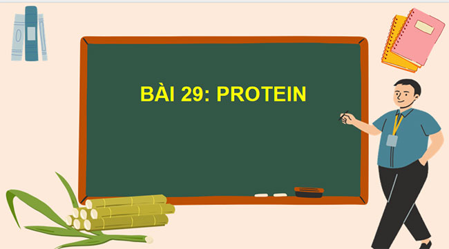 Giáo án Hóa học 9 Bài 29: Protein