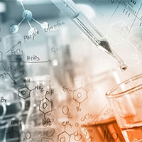 Giáo án Khoa học tự nhiên 9 Bài 28: Tinh bột và cellulose