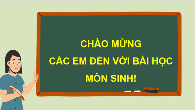 Giáo án Sinh học 9 Bài 34: Từ gene đến tính trạng