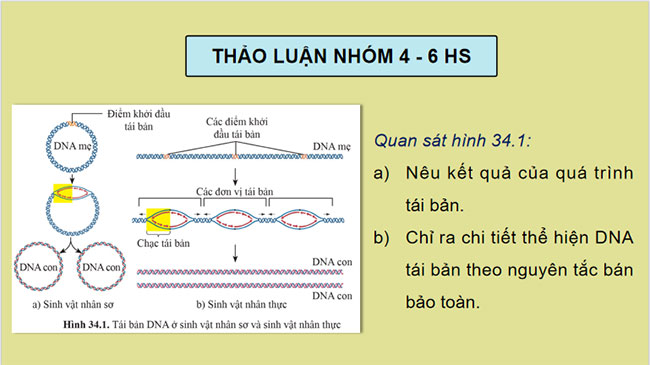 Giáo án Sinh học 9 Bài 34: Từ gene đến tính trạng