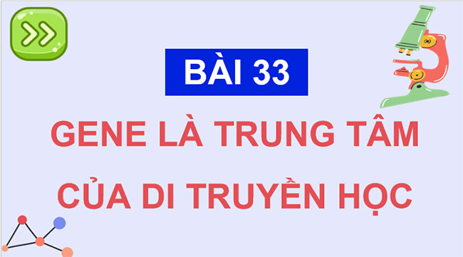 PowerPoint KHTN 9 Bài 33 Cánh diều