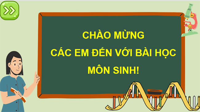 Giáo án PowerPoint KHTN 9 Bài 35 Cánh diều 