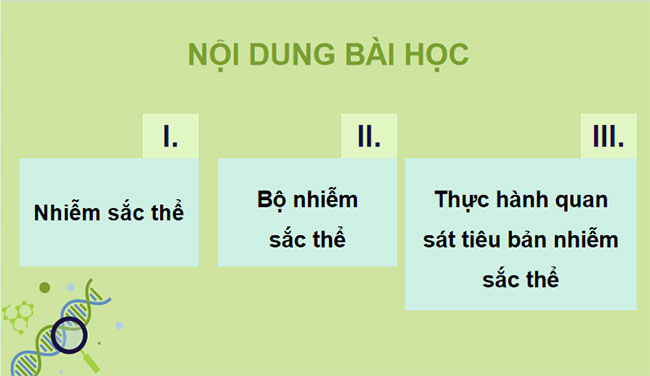 Giáo án PowerPoint KHTN 9 Bài 35 Cánh diều 