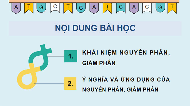 Giáo án PowerPoint KHTN 9 Bài 36 Cánh diều
