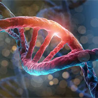 Giáo án Khoa học tự nhiên 9 Bài 35: Nhiễm sắc thể và bộ nhiễm sắc thể