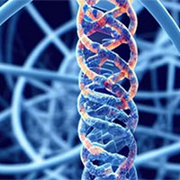 Giáo án Khoa học tự nhiên 9 Bài 34: Từ gene đến tính trạng