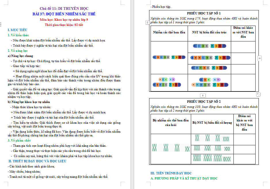 Giáo án PowerPoint KHTN 9 Bài 37 Cánh diều