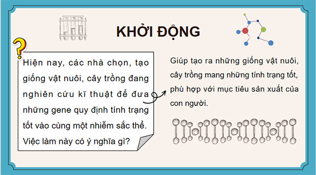 Giáo án PowerPoint KHTN 9 Bài 37 Cánh diều