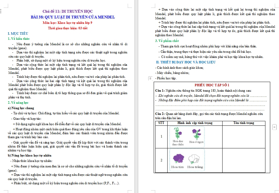 Giáo án PowerPoint KHTN 9 Bài 38 Cánh diều