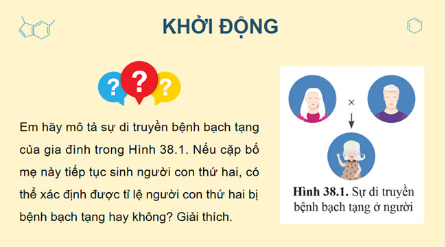 Giáo án PowerPoint KHTN 9 Bài 38 Cánh diều
