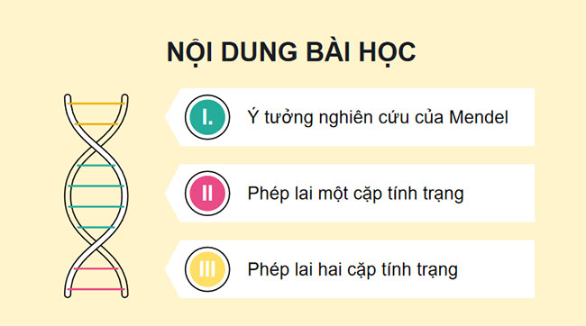 Giáo án PowerPoint KHTN 9 Bài 38 Cánh diều