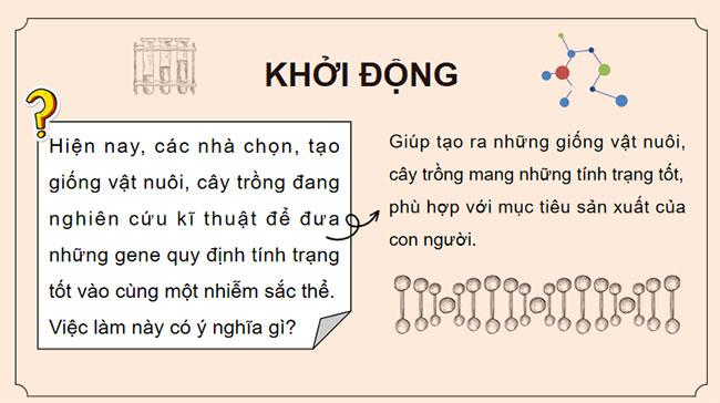 Giáo án Sinh học 9 Cánh diều Bài 39