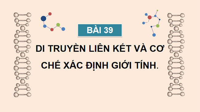 Giáo án Sinh học 9 Cánh diều Bài 39