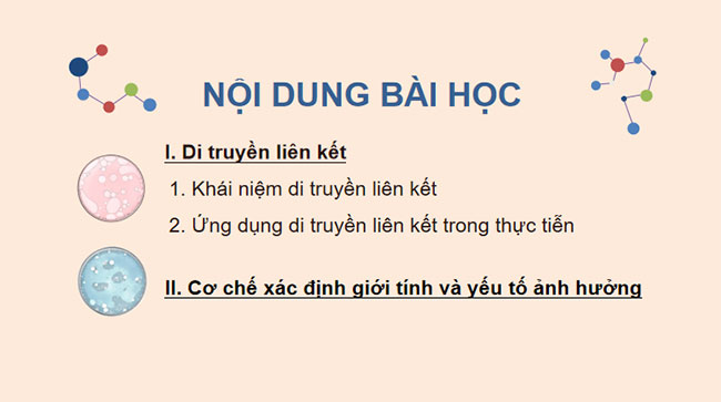 Giáo án Sinh học 9 Cánh diều Bài 39