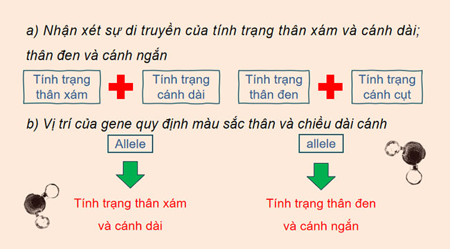 Giáo án Sinh học 9 Cánh diều Bài 39