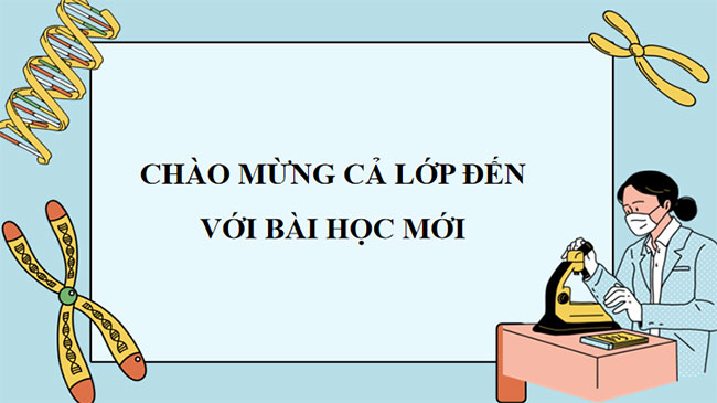 PowerPoint KHTN 9 Bài 40 Cánh diều