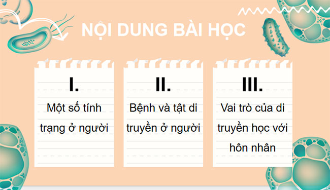 PowerPoint KHTN 9 Bài 40 Cánh diều