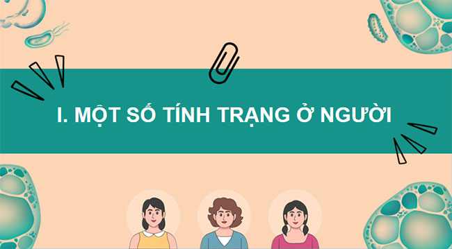 PowerPoint KHTN 9 Bài 40 Cánh diều