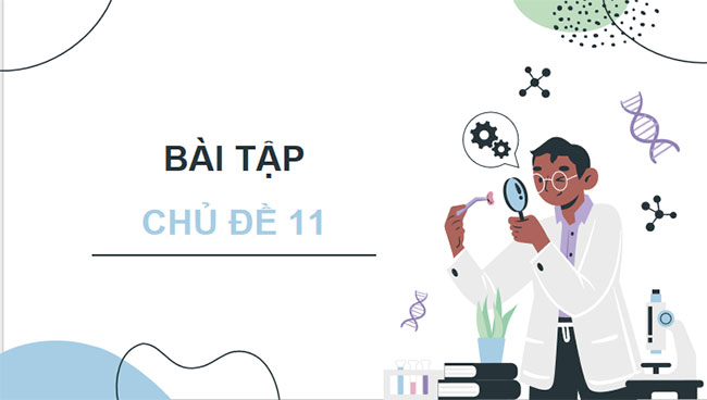 PowerPoint KHTN 9 Bài tập Chủ đề 11