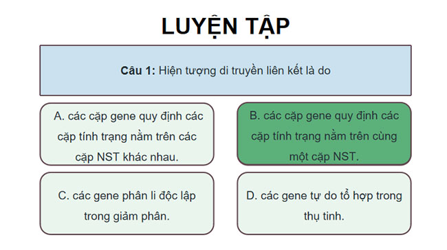PowerPoint KHTN 9 Bài tập Chủ đề 11