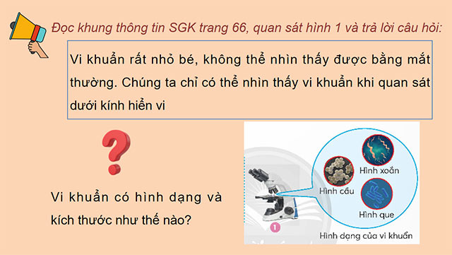 PowerPoint Khoa học 5 Vi khuẩn quanh ta