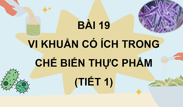 PowerPoint Khoa học 5 Vi khuẩn có ích trong chế biến thực phẩm
