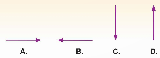 Câu hỏi 3 trang 154 KHTN 6 sách KNTT