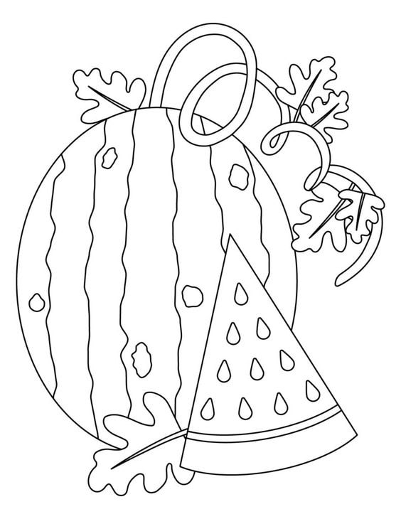 hinh qua dua hau to mau 5*663531