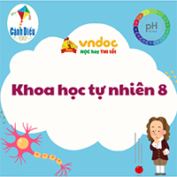 Đề thi học kì 2 KHTN 8 Cánh diều (Cấu trúc mới)