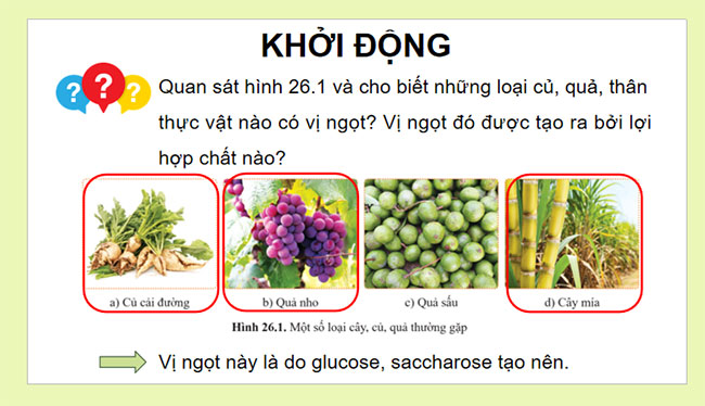 Giáo án Hóa học 9 Bài 26: Glucose và saccharose