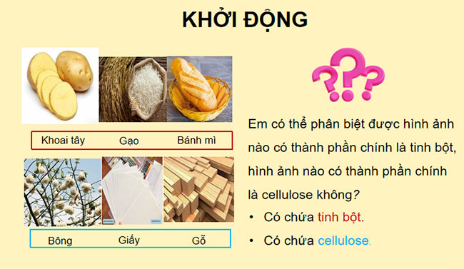  Giáo án PowerPoint KHTN 9 Bài 27 