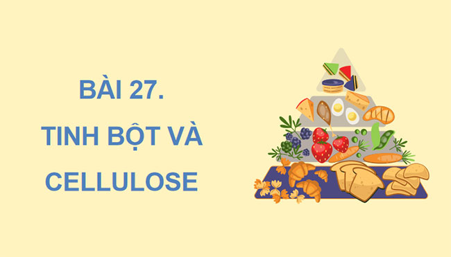  Giáo án PowerPoint KHTN 9 Bài 27 