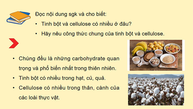  Giáo án PowerPoint KHTN 9 Bài 27 