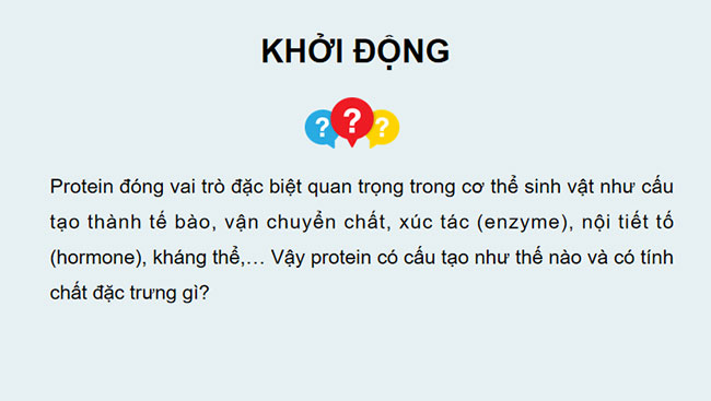 Giáo án Hóa học 9 Bài 28: Protein