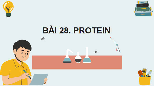 Giáo án Hóa học 9 Bài 28: Protein