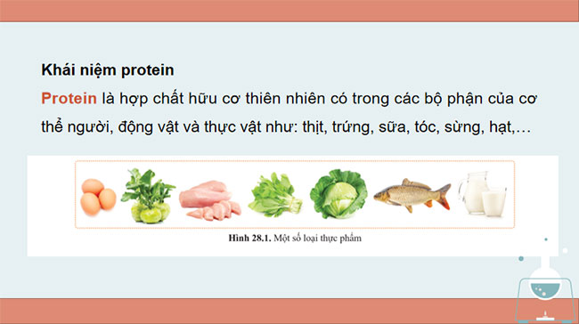 Giáo án Hóa học 9 Bài 28: Protein