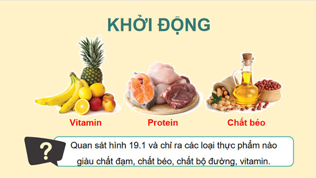 Giáo án Hóa học 9 Bài 19 Giới thiệu về chất hữu cơ