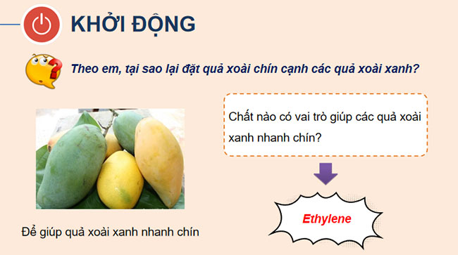 Giáo án Hóa học 9 Bài 21 Alkene