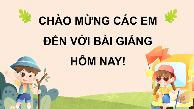 PowerPoint Tiếng Việt 5 Câu đơn và câu ghép
