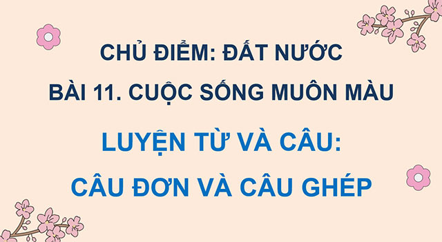 PowerPoint Tiếng Việt 5 Câu đơn và câu ghép