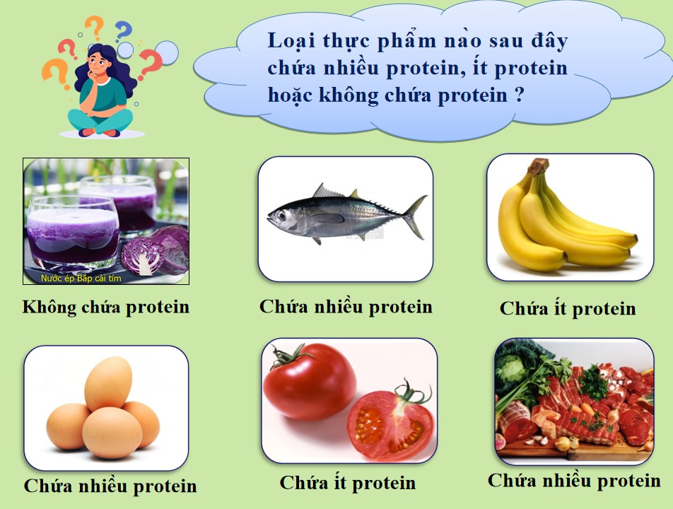 PowerPoint Khoa học tự nhiên 9 KNTT Bài 31