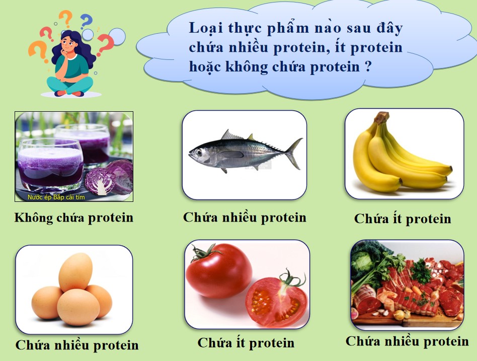 PowerPoint Khoa học tự nhiên 9 KNTT Bài 31