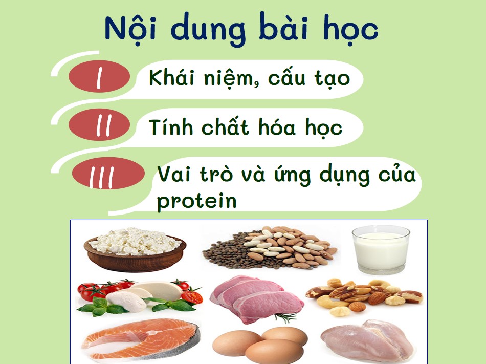 PowerPoint Khoa học tự nhiên 9 KNTT Bài 31