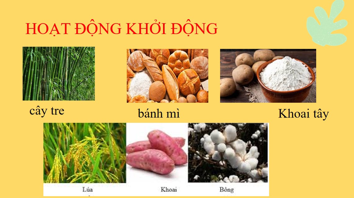 PowerPoint Khoa học tự nhiên 9 KNTT Bài 30