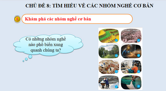 PowerPoint Hoạt động trải nghiệm 11 KNTT Chủ đề 8