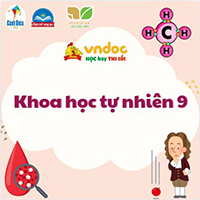 Dãy hoạt dộng hóa học của kim loại đầy đủ